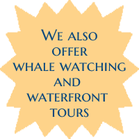 Whale watching and Waterfront tours