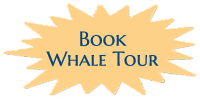 Whale tours